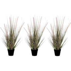 3x Groene Dogtail siergras kunstplanten 53 cm met zwarte pot - Kunstplanten