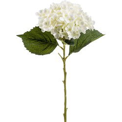 Emerald Kunstbloem hortensia tak - Annabelle - 52 cm - creme - Kunst zijdebloem - Hydrangea - Kunsttakken
