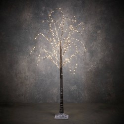 Luca Lighting Wilgentak Kerstverlichting - 80x150 cm - Klassiek Wit