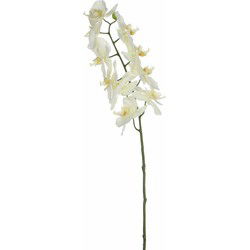 Mica Decorations Kunstbloem Orchidee tak - wit - 71 cm - Kunst zijdebloemen - Kunstbloemen