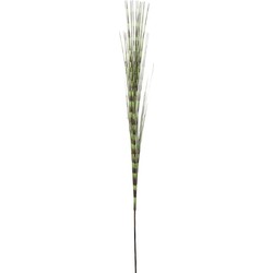 Feuillage Herbe effet rayure - Vert et bordeaux / 121 cm