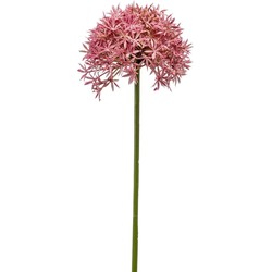 Emerald Allium/Sierui kunstbloem - losse steel - roze - 62 cm - Natuurlijke uitstraling - Kunstbloemen