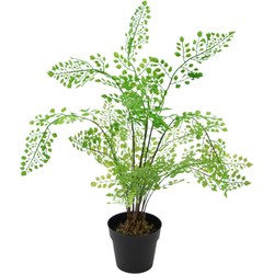 Hoyz Greenery - Kunstplant Varen 35 cm