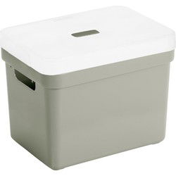 Opbergboxen/opbergmanden lichtgroen van 18 liter kunststof met transparante deksel - Opbergbox