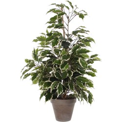 Mica Decorations Ficus Exotica Kunstplant - H65 x Ø40 cm - Pot - Groen