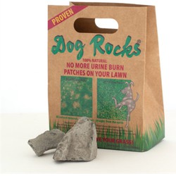 DOG ROCKS 600 GR