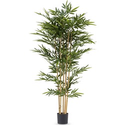 Greenmoods Bamboe - Bambusoideae - Nepplanten voor binnen - Kunstplant - 1 Stuk - 210cm - Groen