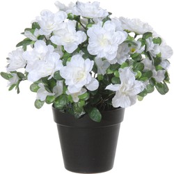 Azalea Kunstbloemen - in pot - wit - H28 cm - Kunstplanten