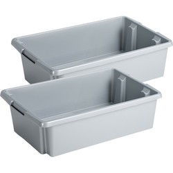 Sunware opslagbox - 2x - kunststof - 30L - lichtgrijs - 59x39x17 cm - Opbergbox