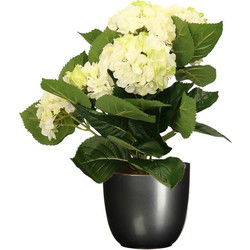 Hortensia kunstplant/kunstbloemen 36 cm - wit/groen - in pot titanium grijs glans - Kunstplanten