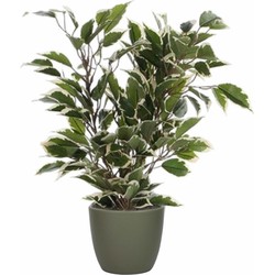 Groen/witte ficus kunstplant 40 cm met plantenpot dennengroen D13.5 en H12.5 cm - Kunstplanten