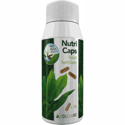 Flora nutri caps 10x