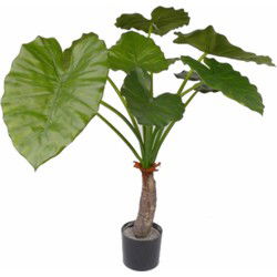 Kamerplant alocasia 80 cm - Kunstplanten