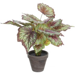 Mica Decorations Begonia Kunstplant - 38x38x40 cm - Polyester - Rood