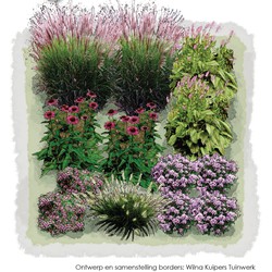 1m2 Siergrassen in purper en groen 6d - Vierkante Meter Borders