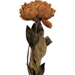 Clayre & Eef Kunstbloem 65 cm Bruin Kunststof