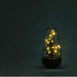 URBANJNGL - Egg Christmas - Plantenterrarium met kerstboom en verlichting - ↑ 25 cm