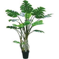 Kunstplant Monstera 4 stam 170 cm - Buitengewoon de Boet