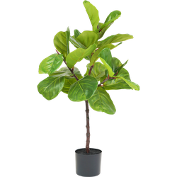 Kunstplant Ficus Tabaksplant 90 cm | NeverLeafs