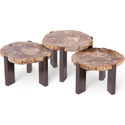 PTMD Salontafel Rudi - 50x60x43 cm - Hout - Naturel - Set van 3