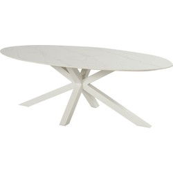 Xander Oval alu ceramic table 220x120 cm
