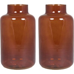 Set van 2x bloemenvazen - bruin/transparant glas - H25 x D15 cm - Vazen