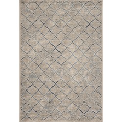 Safavieh Traditional Indoor Woven Area Rug, Brentwood Collection, BNT809, in Light Grey & Blue, 160 X 229 cm