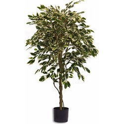 Hoyz Greenery - Kunstplant Ficus Bont 150 cm