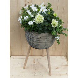Rieten plantenbak grijs op poten met zomerbloeiers wit h55 cm