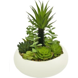 Greenmoods Kunst Vetplanten - Mix - Met Sierpot - 1 Stuk - 25cm