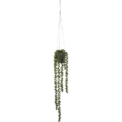 Mica Decorations Senecio Kunst Hangplant - H56 x Ø9 cm - Groen