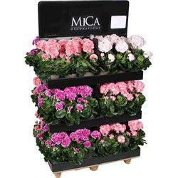 Mica Decorations Kunstplant Geranium - 0x0x33 cm - Polyester - Wit