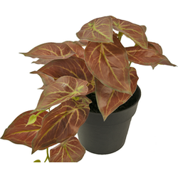 Kunstplant Scindapsus 25 cm rood | NeverLeafs