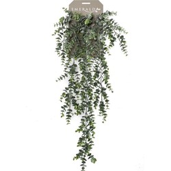 Groene Eucalyptus kunstplant hangende tak 75 cm - Kunstplanten