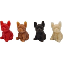 Amberblokjes Franse Bulldog Set 4 stuks