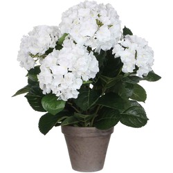 Mica Decorations Hortensia Kunstplant - 45x45 cm - Pot - Wit