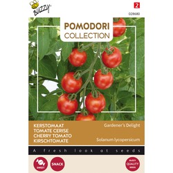 Pomodori Gardeners Delight (Kirsche) Samen - Buzzy