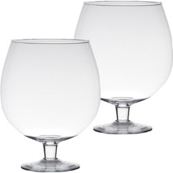 Set van 2x stuks transparante luxe stijlvolle Brandy vaas/vazen van glas 20 cm - Vazen