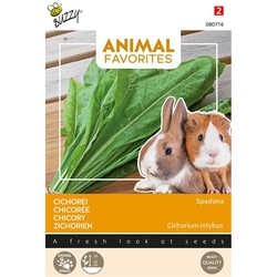 Animal favorites cichorei spadona - konijn - cavia tuinzaden