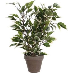 Groen/witte ficus kunstplant 40 cm - Kunstplanten