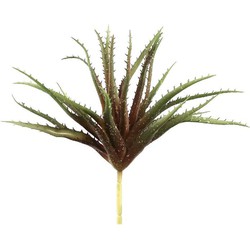 PTMD Succulent Plant Aloe Vera Prikker - 19 x 23 x 26 cm - Rood/Groen