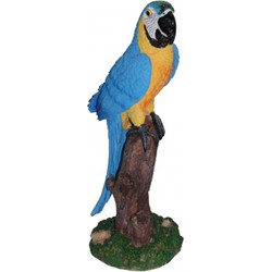 Blauwe decoratie papegaai 32 cm - Beeldjes
