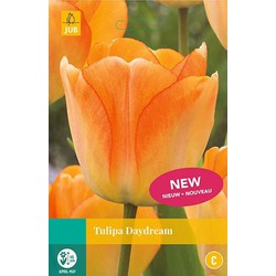 3 stuks - Tulipa Daydream 8 bollen