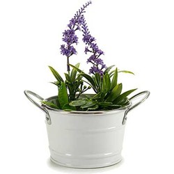 Arte r plantenpot/bloempot teil- zink - wit - D12 x H17 cm - Plantenpotten