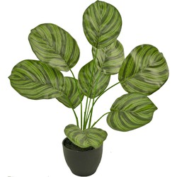 Greenmoods Kunst Calathea - Nep plant - Met sierpot - 1 Stuk - 48cm