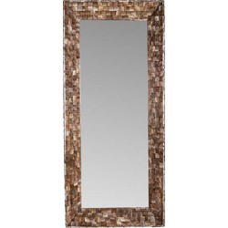 PTMD Chelsae Bronze poly rectangle shell mirror