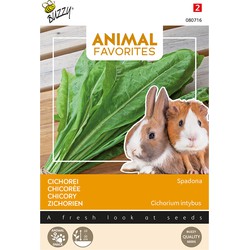 Animal favorites cichorei spadona - konijn - cavia tuinzaden - Tuinplus