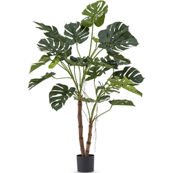 Hoyz Greenery - Kunstplant Monstera op stam 145 cm