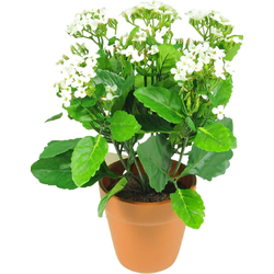 Hoyz Greenery - Kunstbloem Kalanchoe plant 31 cm wit