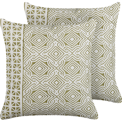 LARICS  - Sierkussen set van 2 - Lichtgroen - 45 x 45 cm - Katoen